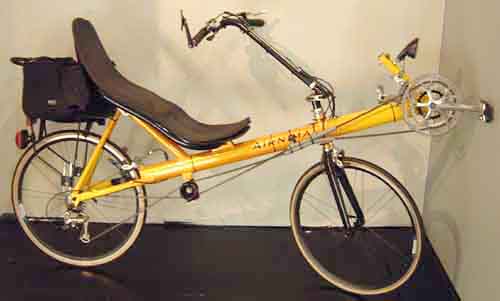 Airnimal recumbent