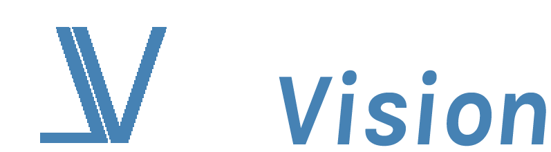 Velo Vision Product Review Insights